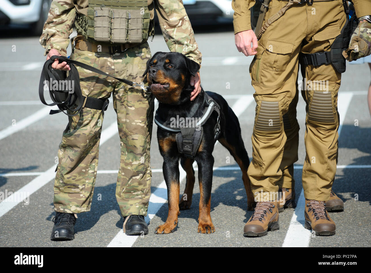 Police dog standing near soldiers of KORD (police strike force, SWAT).  September 5, 2018. Kiev, Ukraine Stock Photo - Alamy