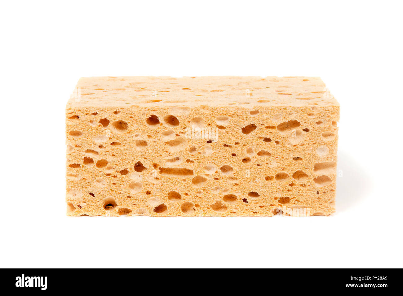 Big porous sponge isolated on white background Stock Photo - Alamy