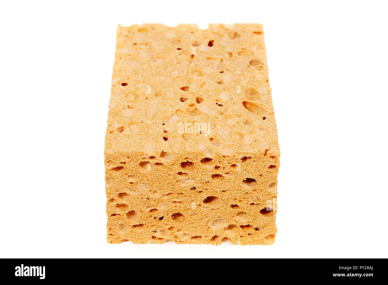 Big porous sponge isolated on white background Stock Photo - Alamy