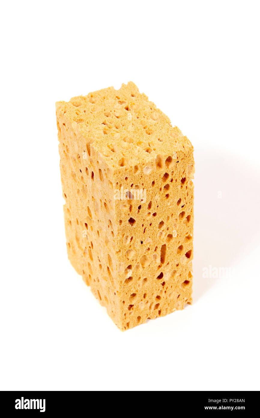 Big porous sponge isolated on white background Stock Photo - Alamy