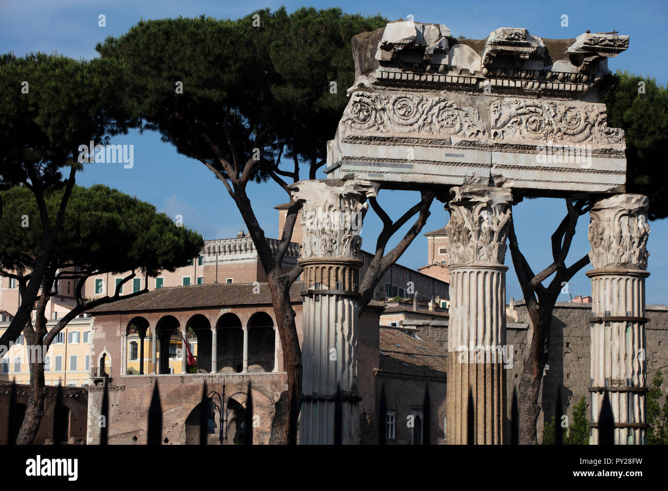 The three surviving corinthian columns of the Temple of Venus Genetrix in the Imperial Forums in the centre of Rome in the late afternoon sun. Stock Photo