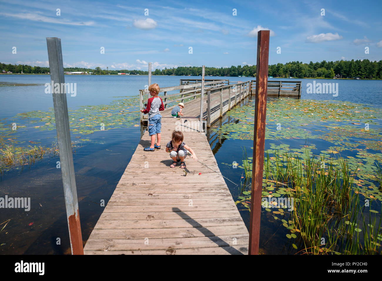 Girl Stands Shore Forest Lake Catches Fish Fishing Rod — Stock Photo ©  baxys #467272096