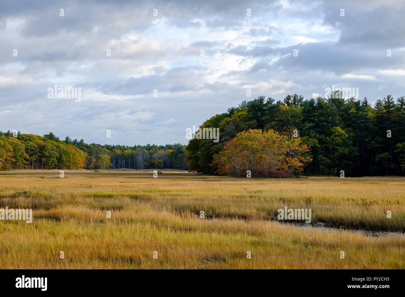 Autumn in the salt marsh, Scarborough, Maine Stock Photo Alamy