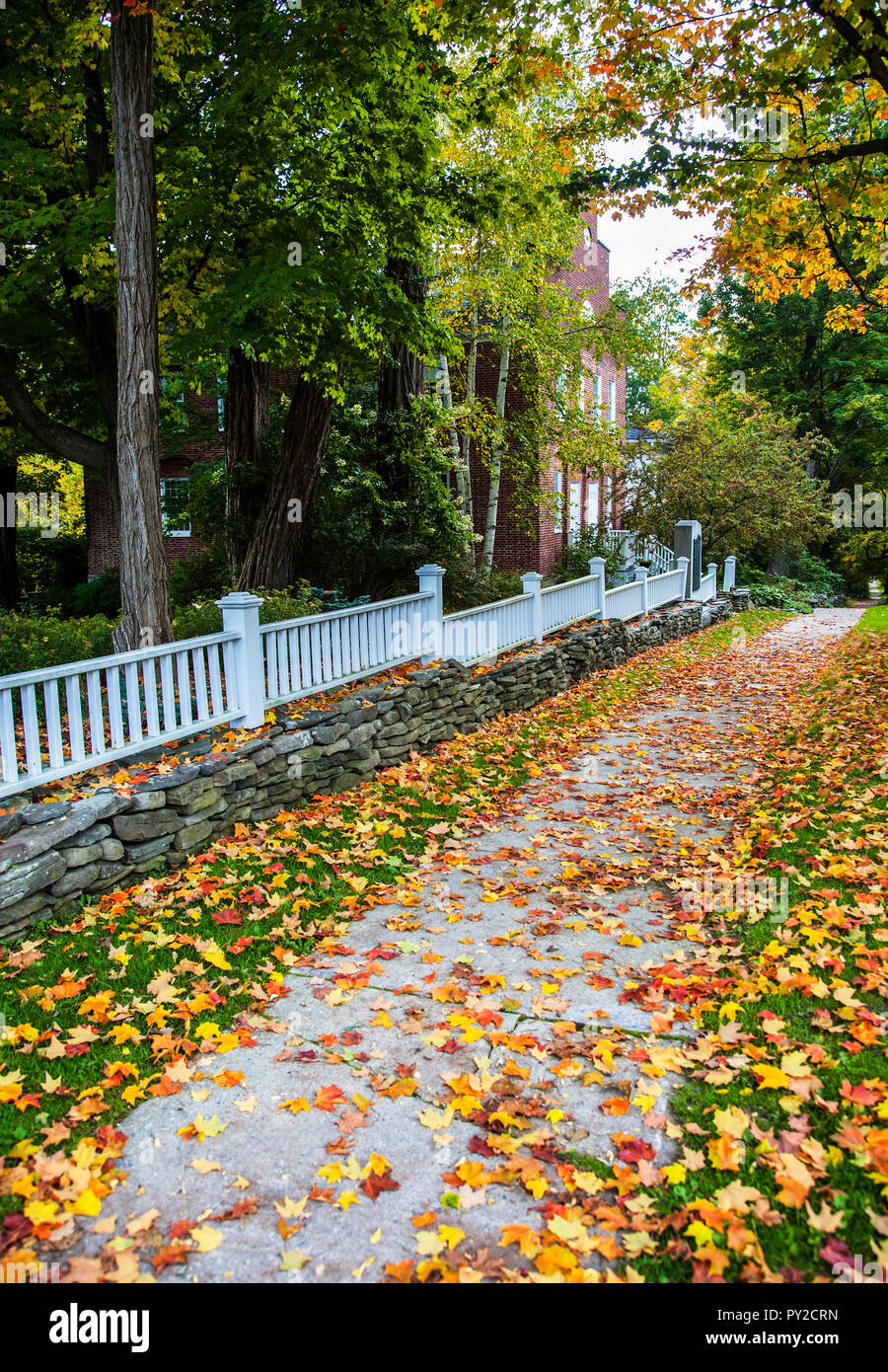 Colorful autumn leaves on a walkway with a white picket fence, Bennington, Vermont, USA, New England autumn leaves fall foliage US fall orange yellow Stock Photo