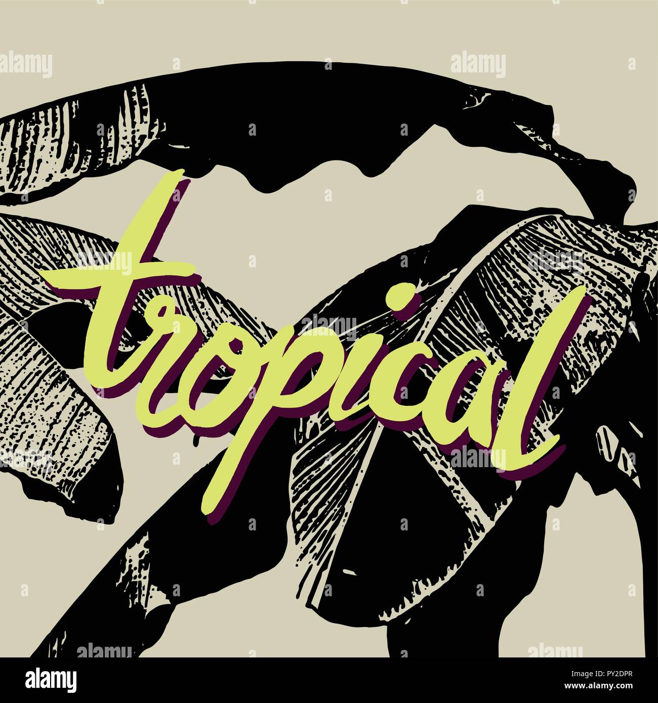 Black tropical palmer under sun fest jungle Stock Vector