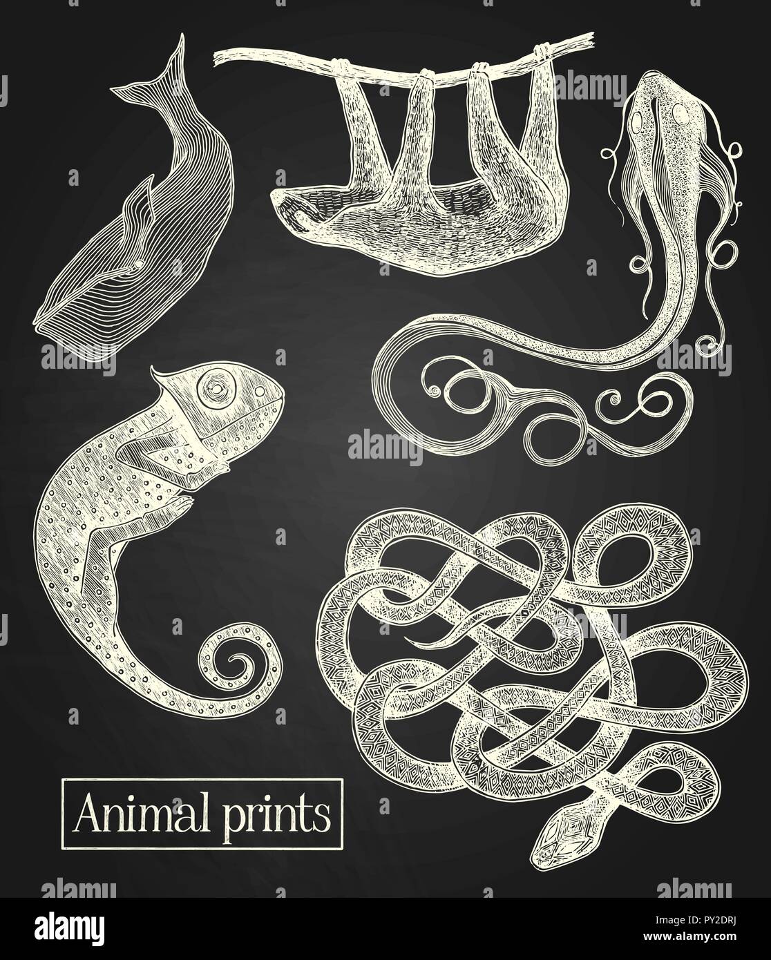 White animals illustrations on the blackboard background Stock Vector