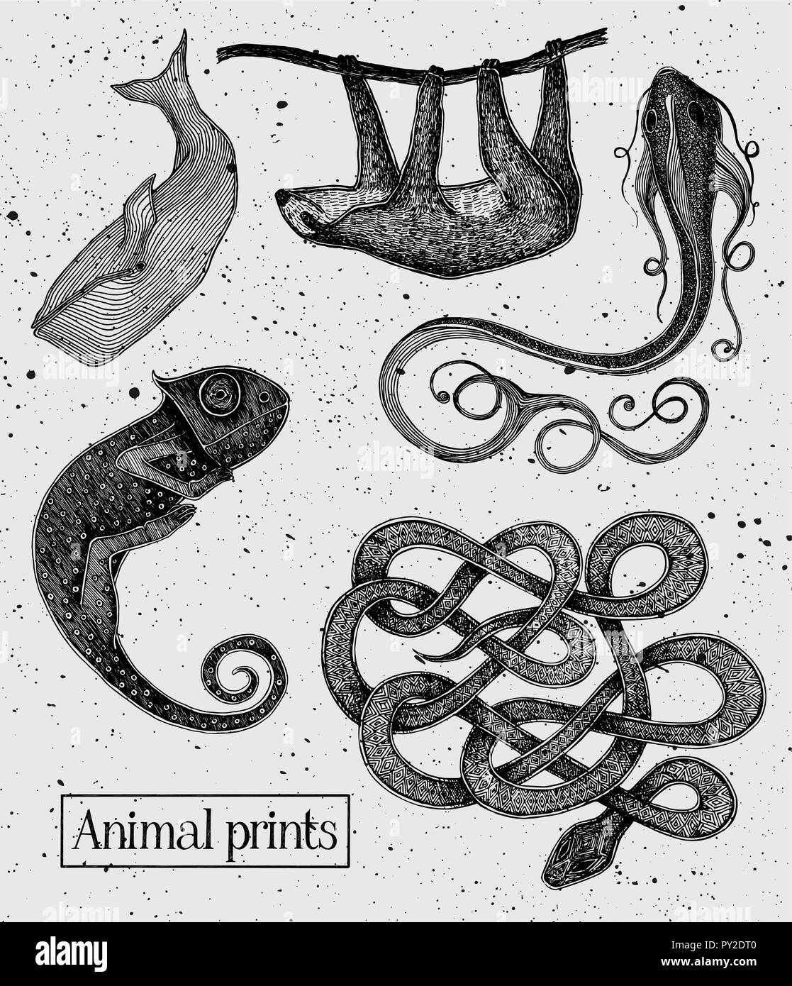 Vintage zoo animals hi-res stock photography and images - Alamy