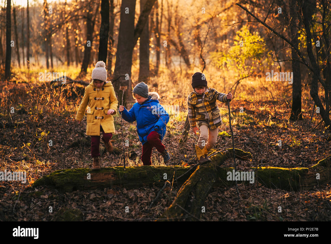 Three children playing in the woods, United States Stock Photo