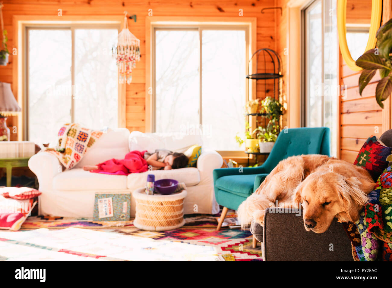 Girl and her dog sleeping on couches in the living room Stock Photo