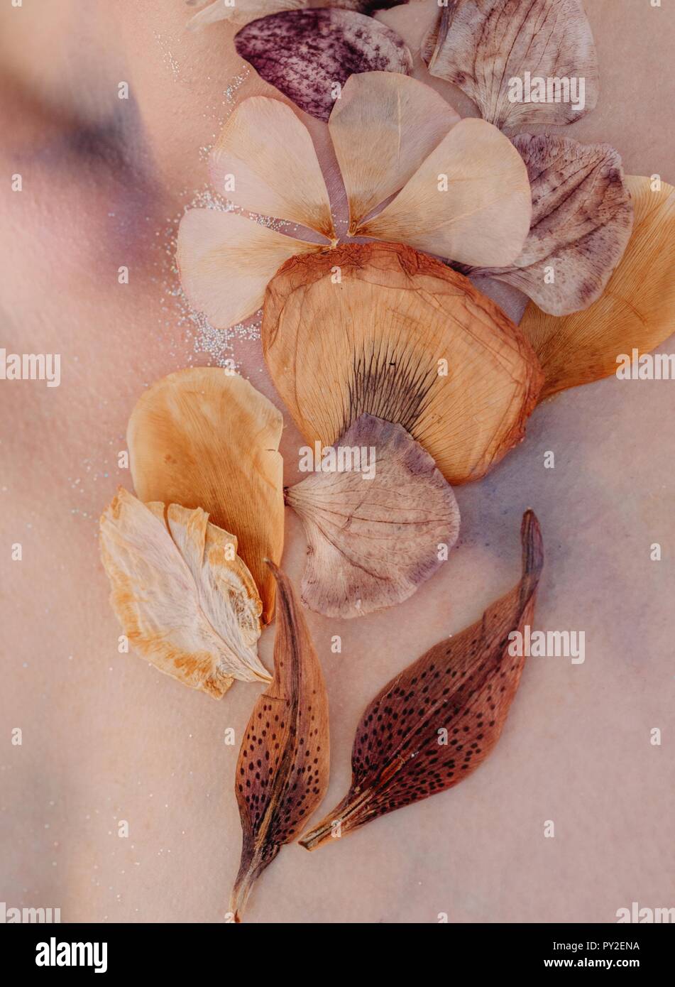 Conceptual beauty portrait of a woman with dried flowers on her face Stock Photo