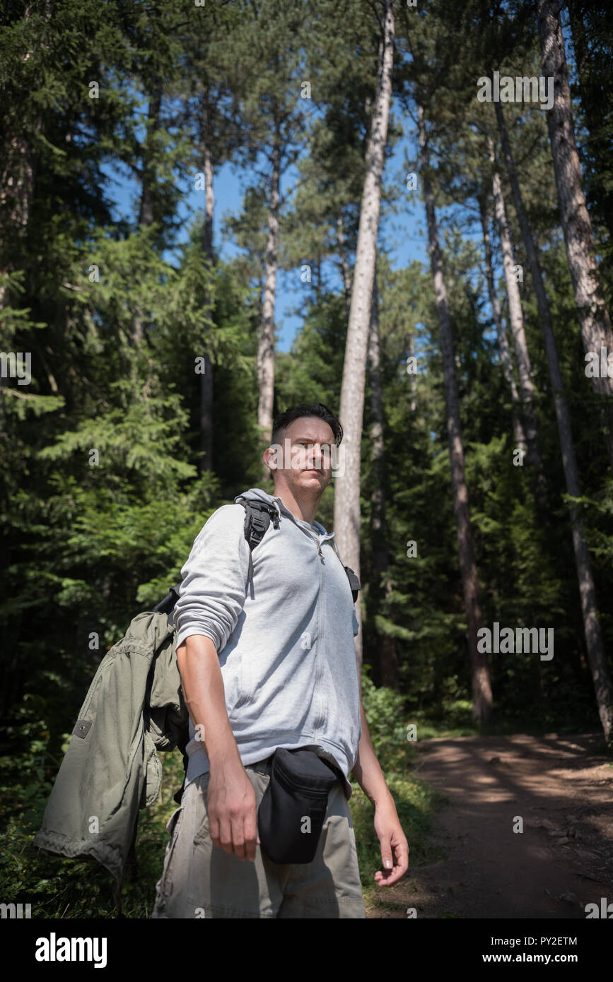 Forest quarter hiking hi-res stock photography and images - Alamy