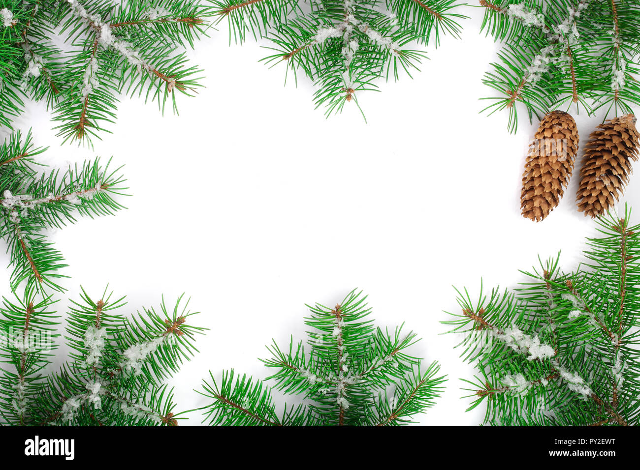 Christmas Frame of Fir tree branch with snow and cone isolated on white ...