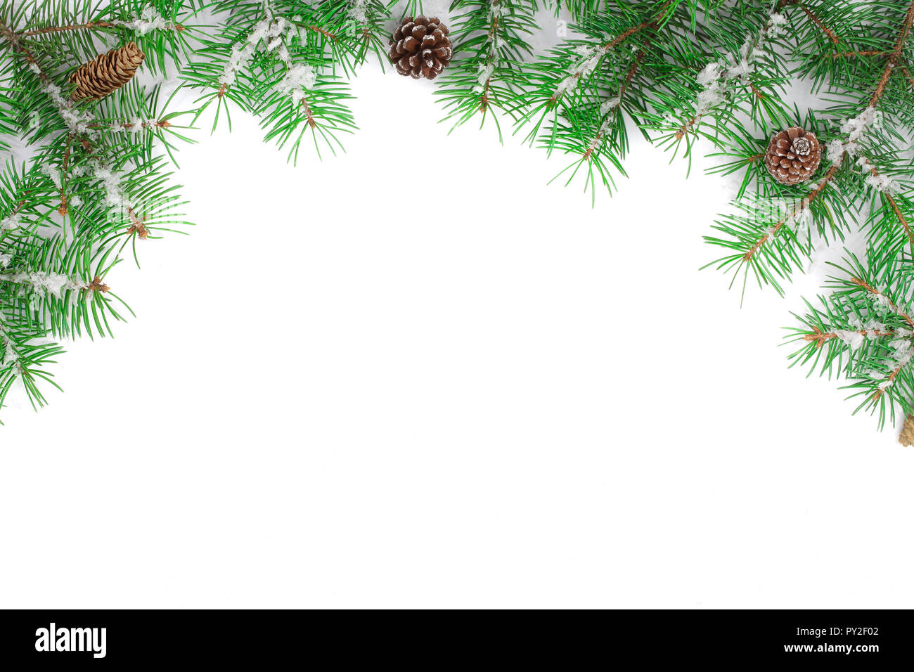 Christmas Frame of Fir tree branch with snow and cone isolated on white ...