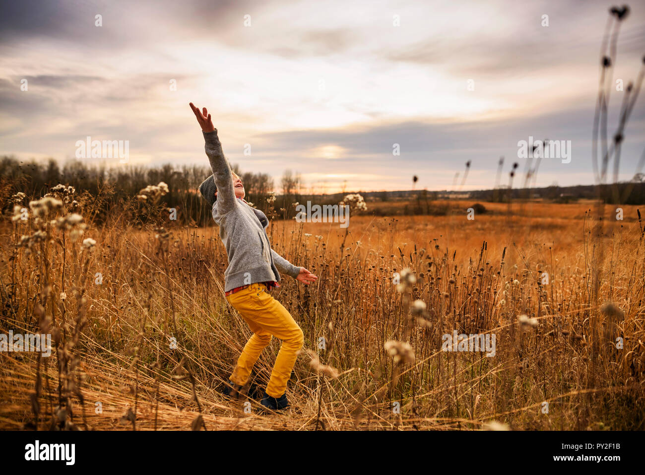 Boy standing in a field reaching for the sky, United States Stock Photo