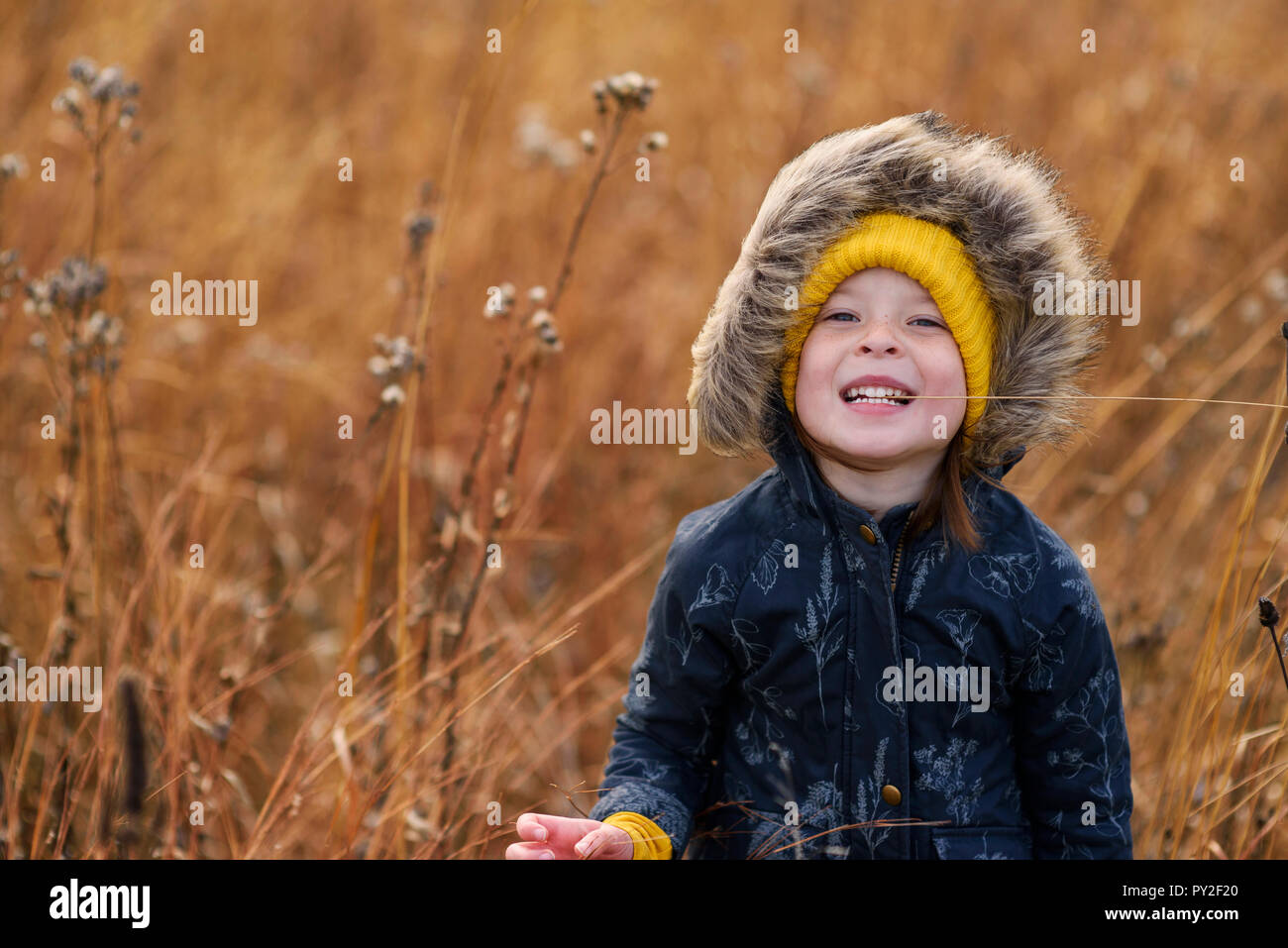 Portrait of a smiling girl in a field, United States Stock Photo