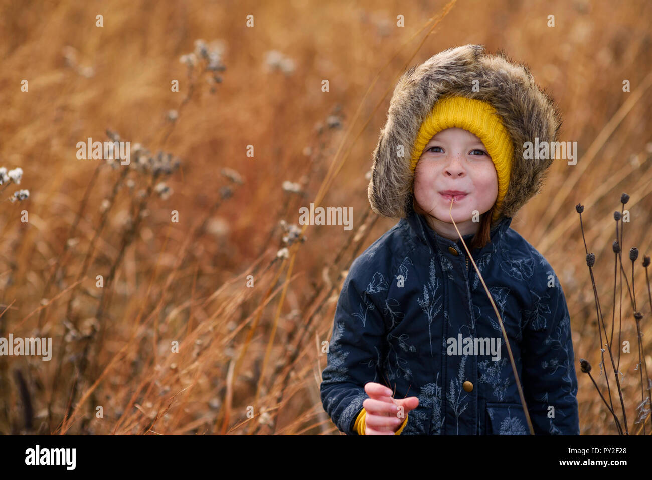 Portrait of a smiling girl standing in a field chewing a piece of long grass, United States Stock Photo