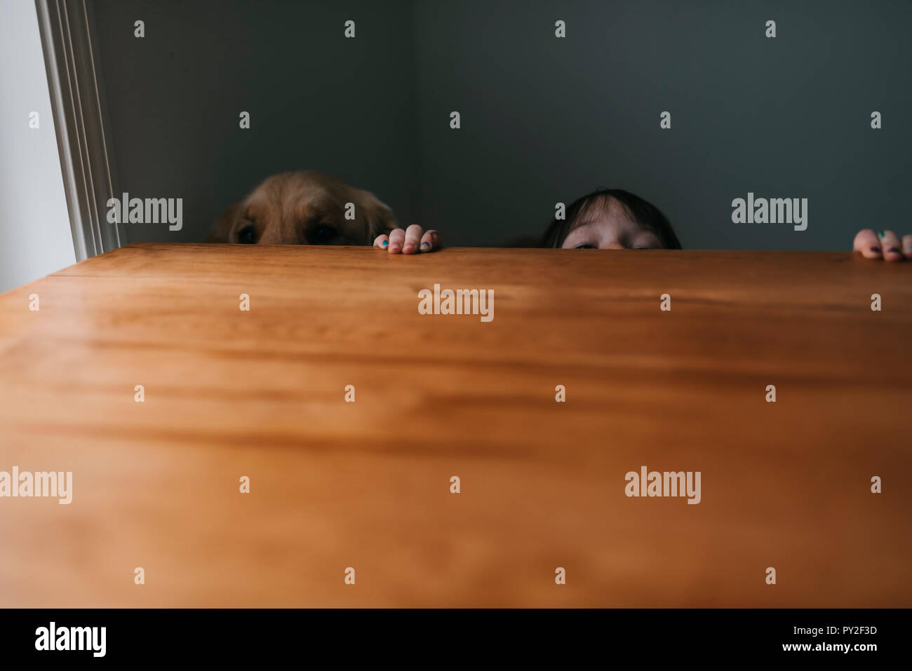Girl hiding behind a table with her dog Stock Photo