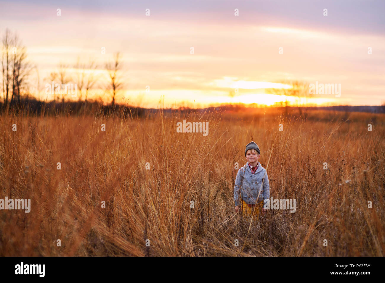 Boy standing in a field at sunset, United States Stock Photo - Alamy