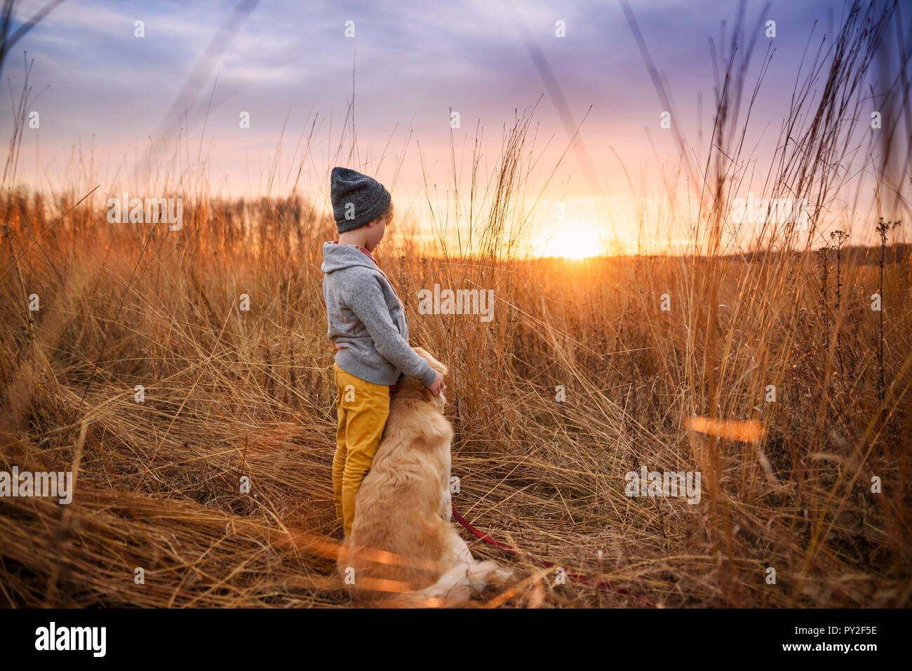 Boy standing in a field with his golden retriever dog, United States