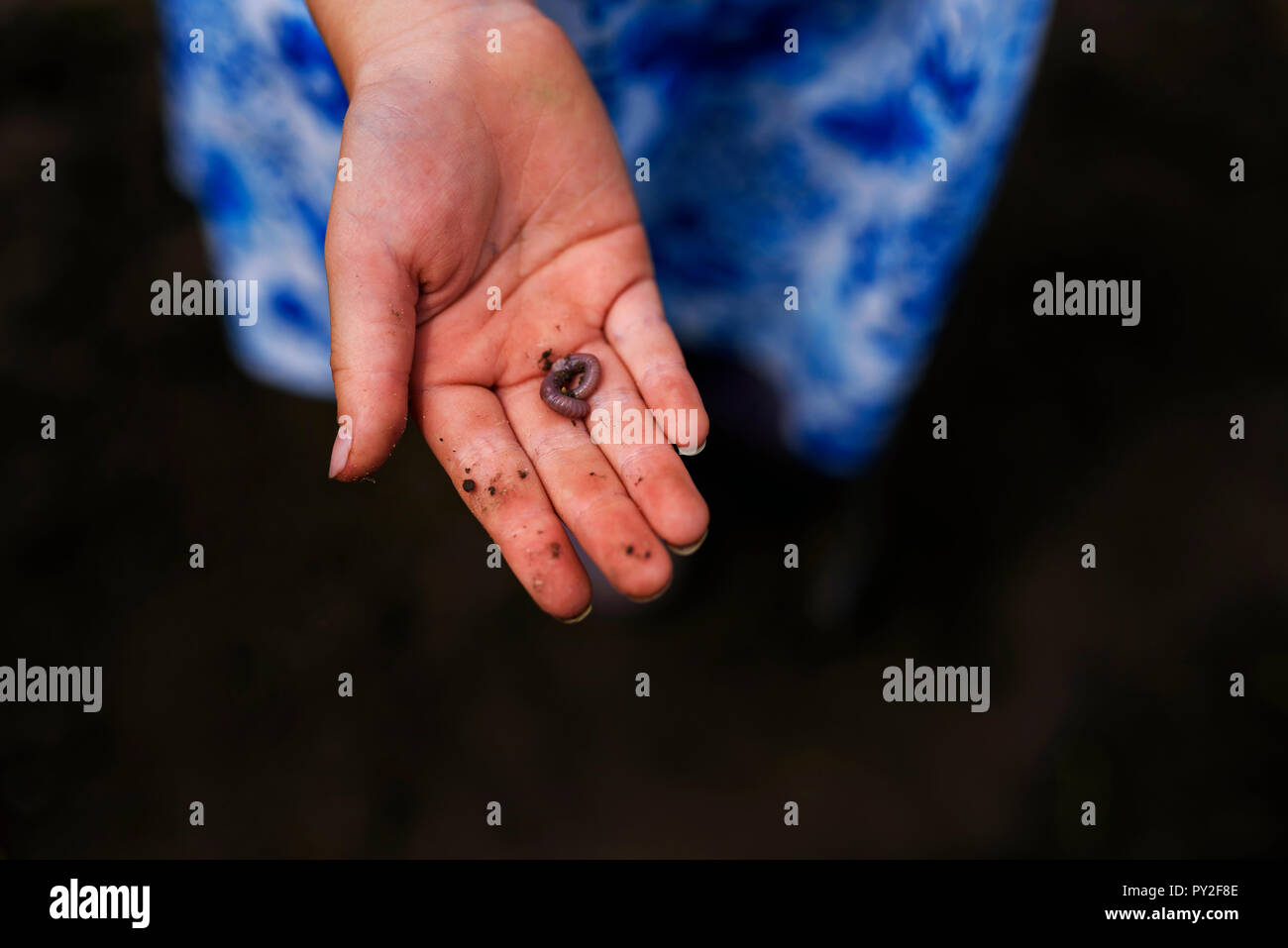 Girl holding a worm in her hand, United States Stock Photo