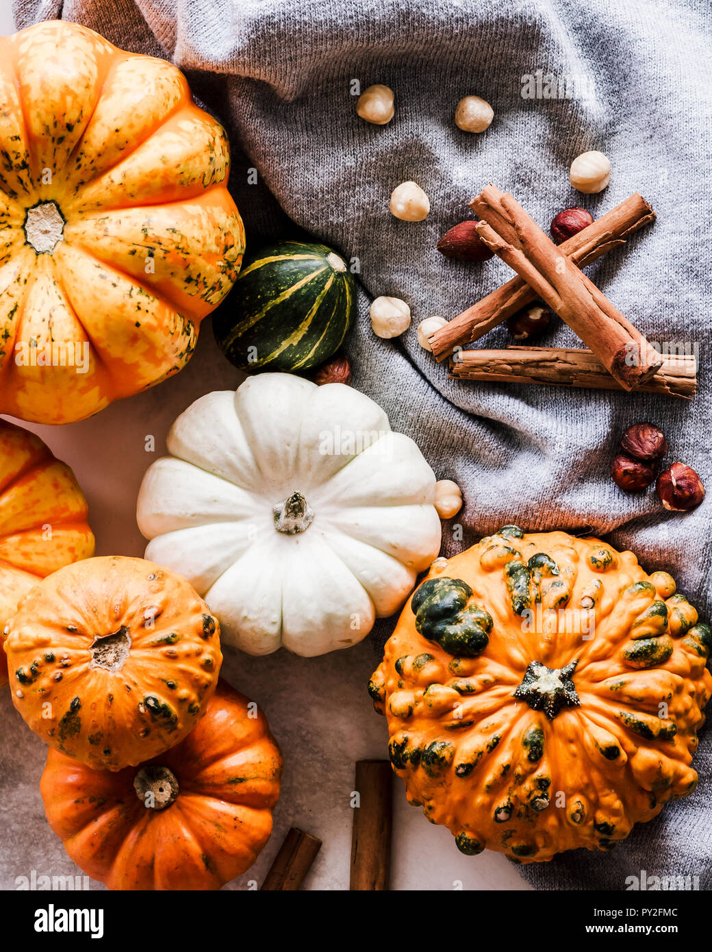 Autumn pumpkin, squash, cinnamon and nut arrangement Stock Photo