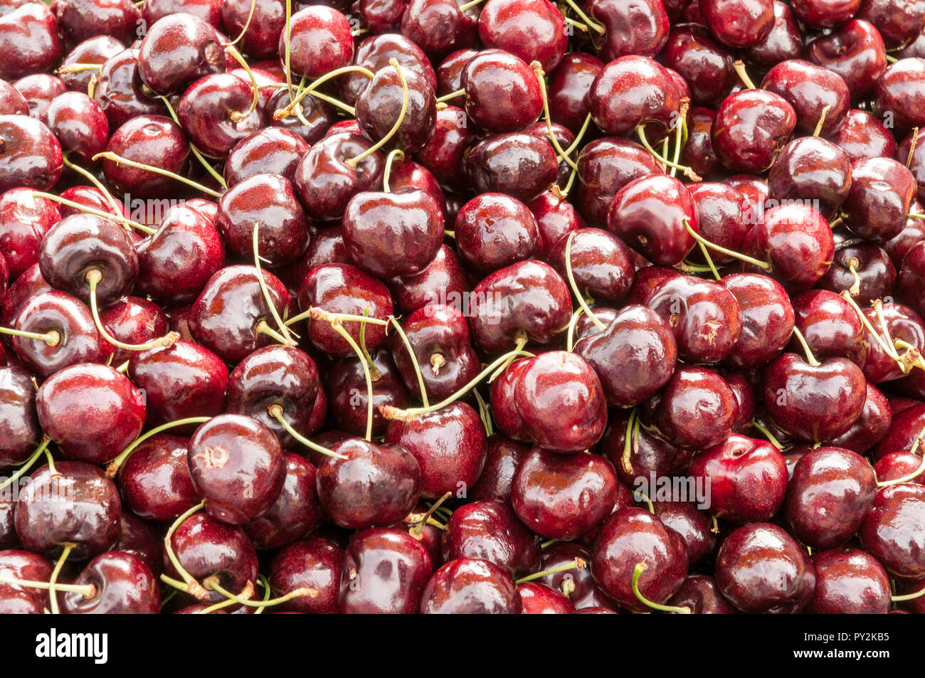 Lapins cherry hi-res stock photography and images - Alamy