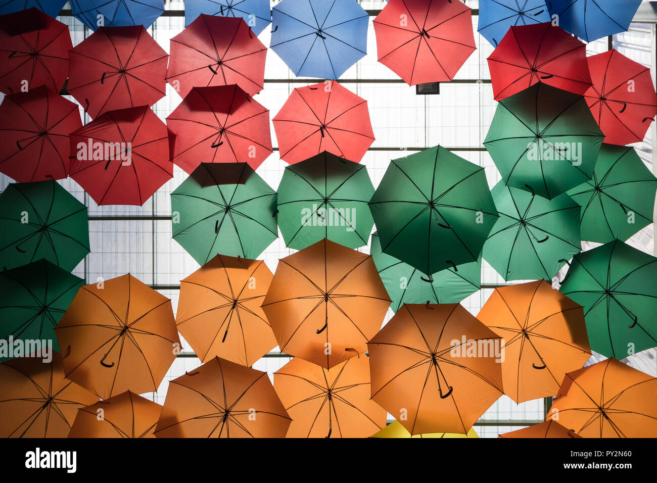 Colorful umbrellas hanging in the street Stock Photo Alamy