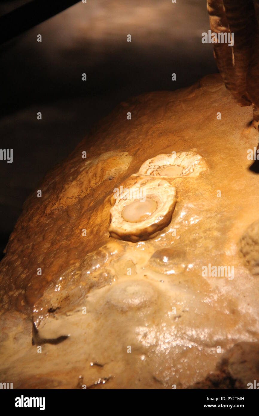 The "Fried Eggs" rock formation at Luray Caverns, VA, USA Stock Photo