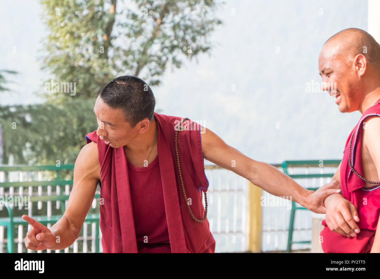 Tibetan monk engaged in lively debate at Buddhist temple in Dharamshala, India Stock Photo