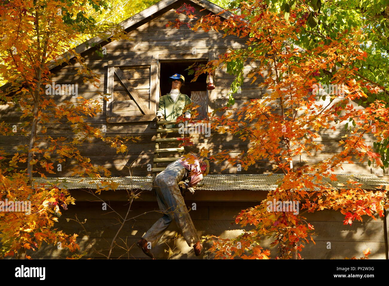 Barn with Halloween characters on the roof Stock Photo Alamy