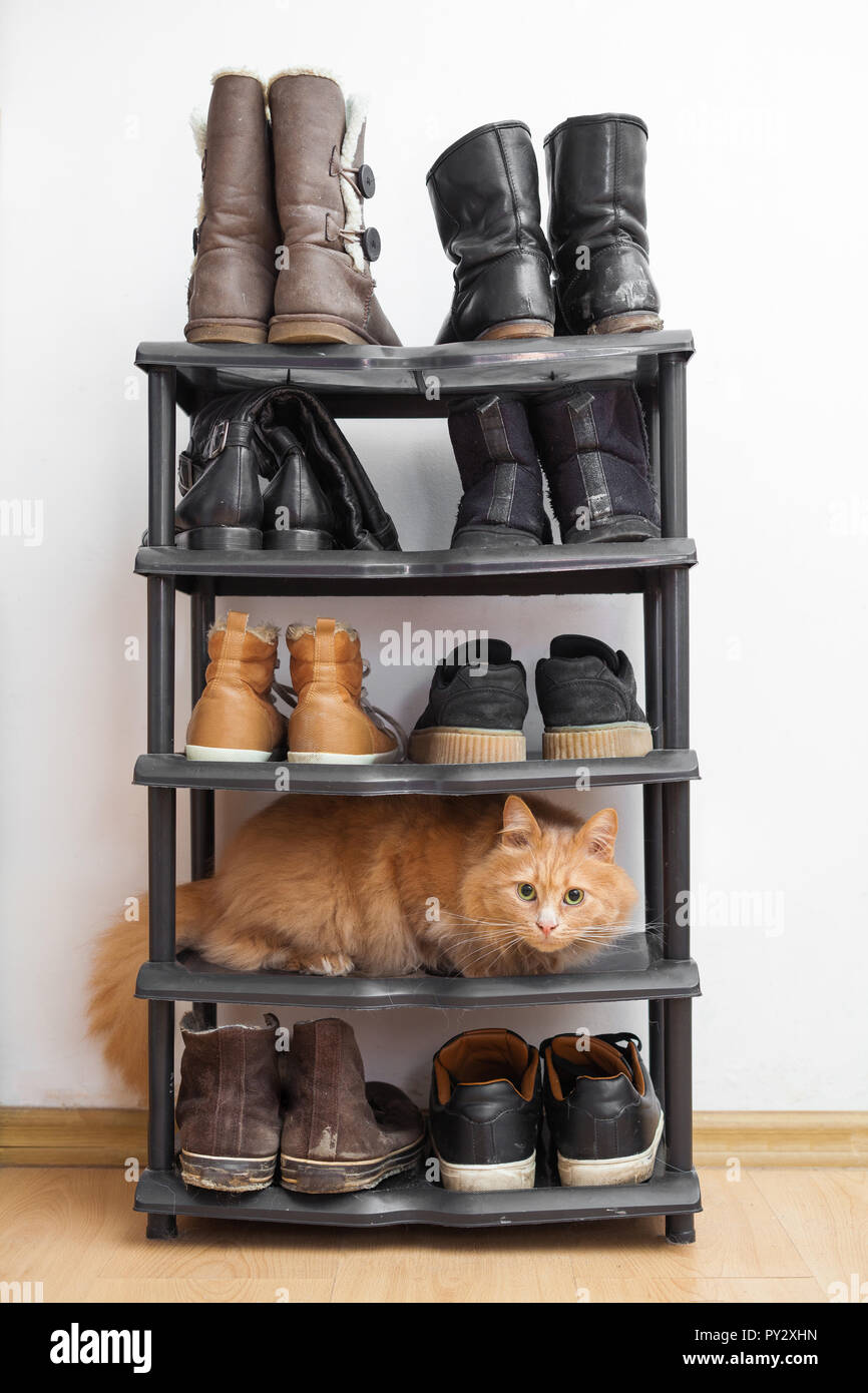 toddler shoe rack on Shoe Rack High Resolution Stock Photography And Images Alamy