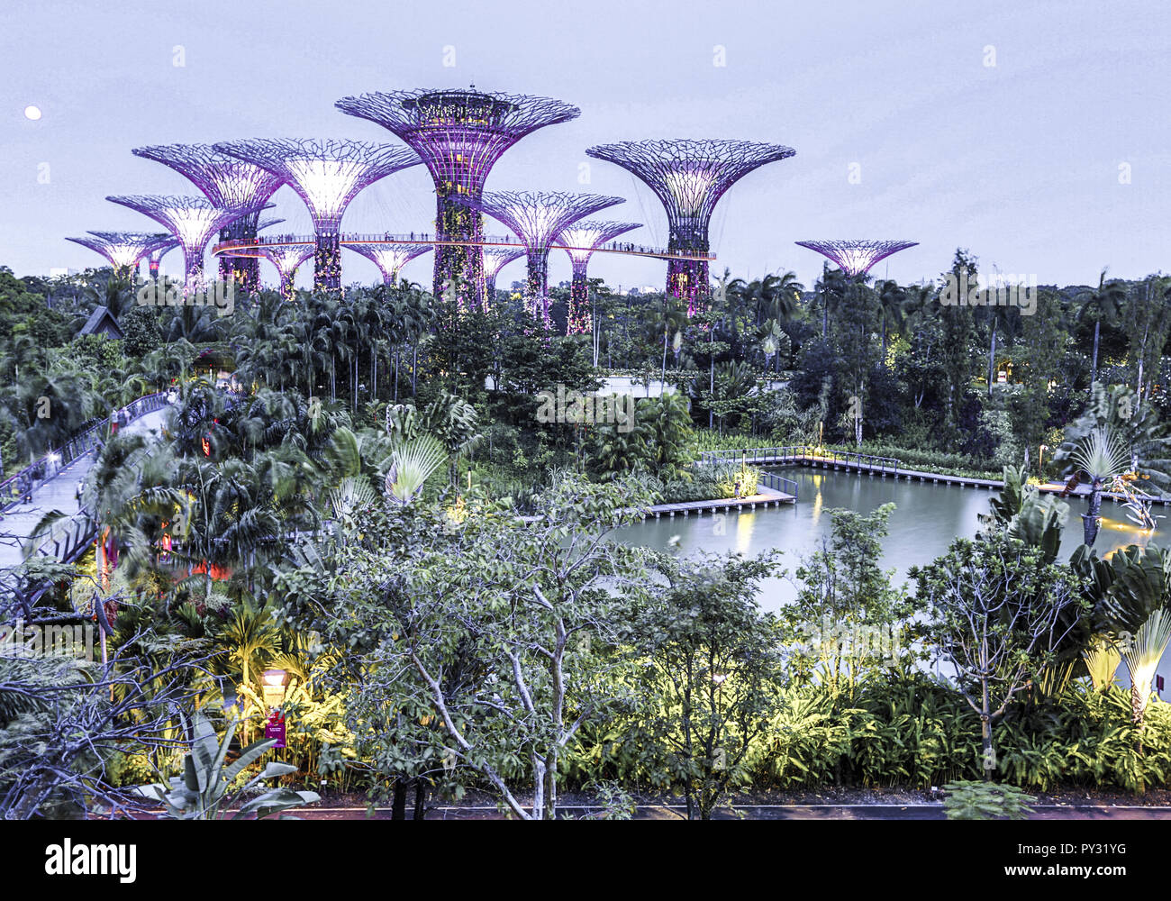 Singapur, Botanischer Garten Stock Photo Alamy