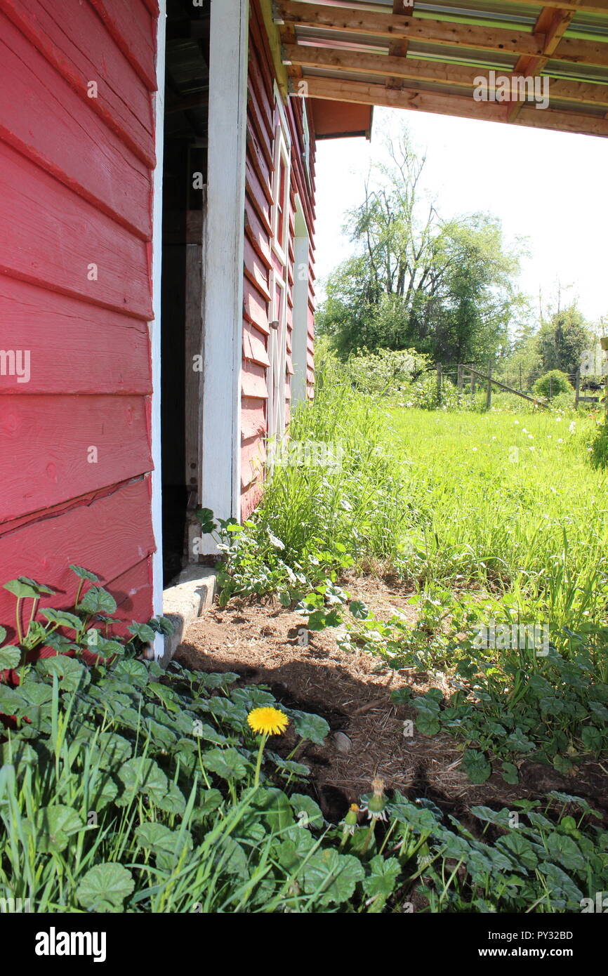 stall barn on a spring day Stock Photo