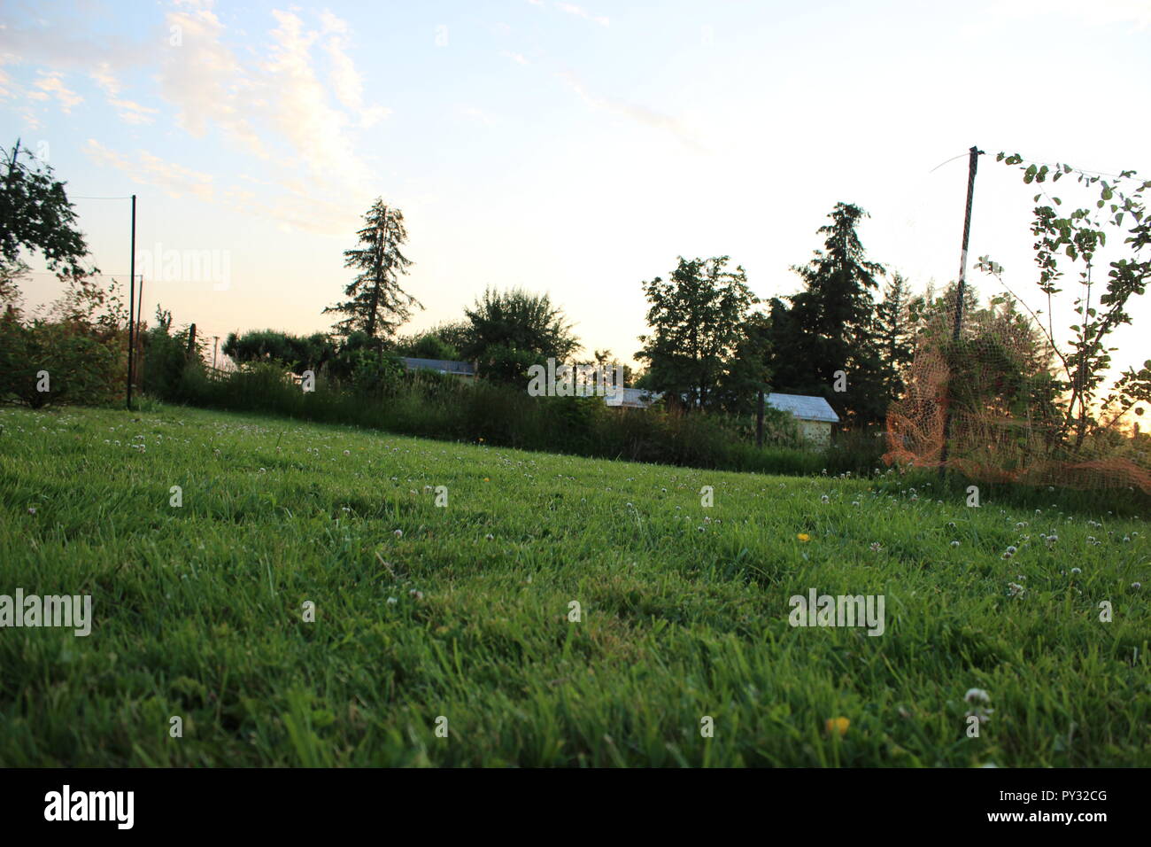 Grassy field with trees hi-res stock photography and images - Alamy