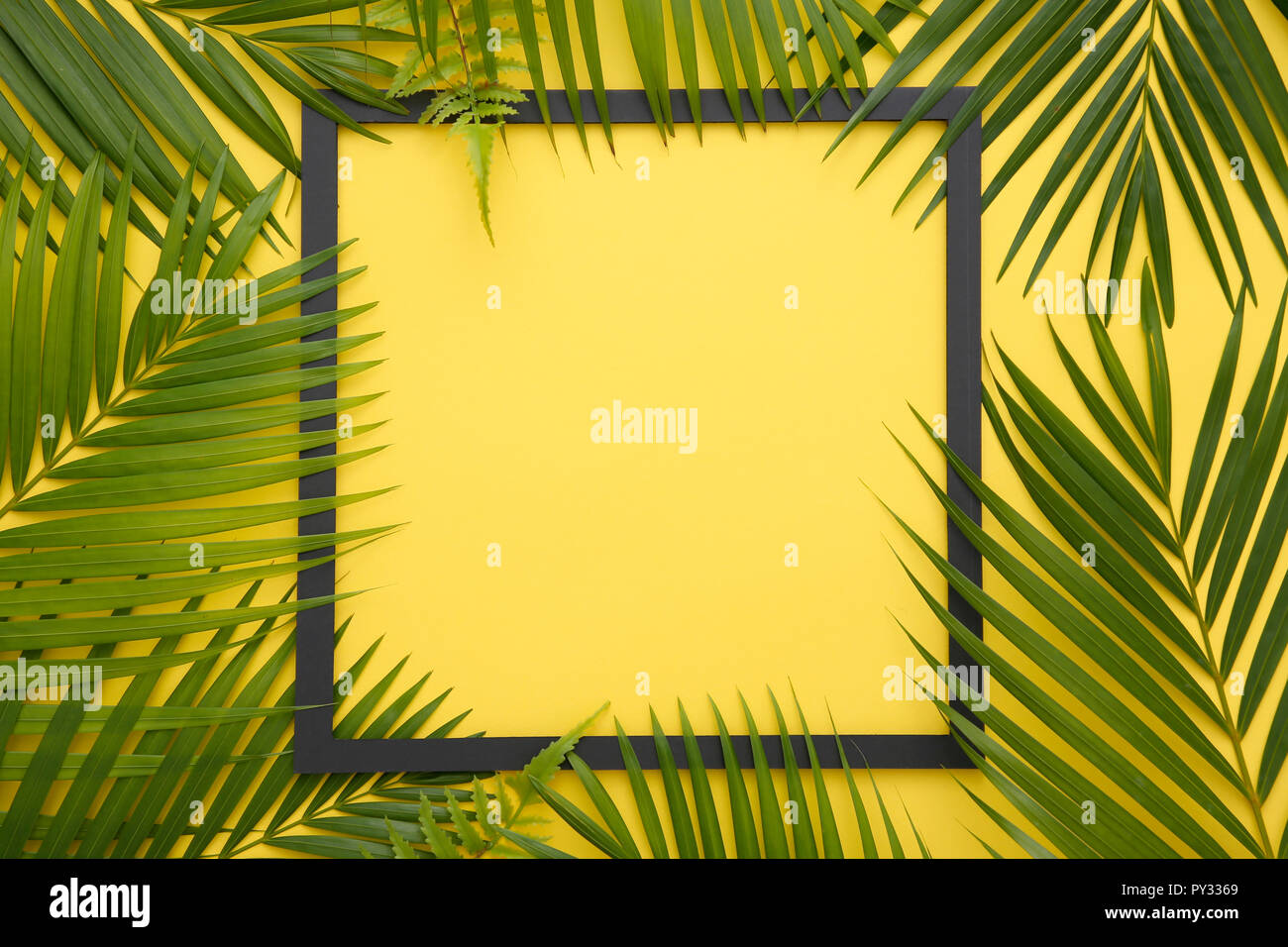 Greenery Concept photo, leave pattern summer background and frame ...