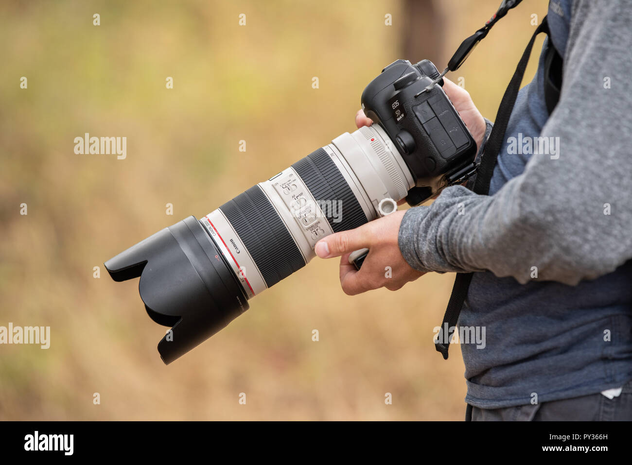 Battle Ground, WA / USA - August 25 2018: Male person holding Canon 5D Mark IV with 70-200 lens. Stock Photo