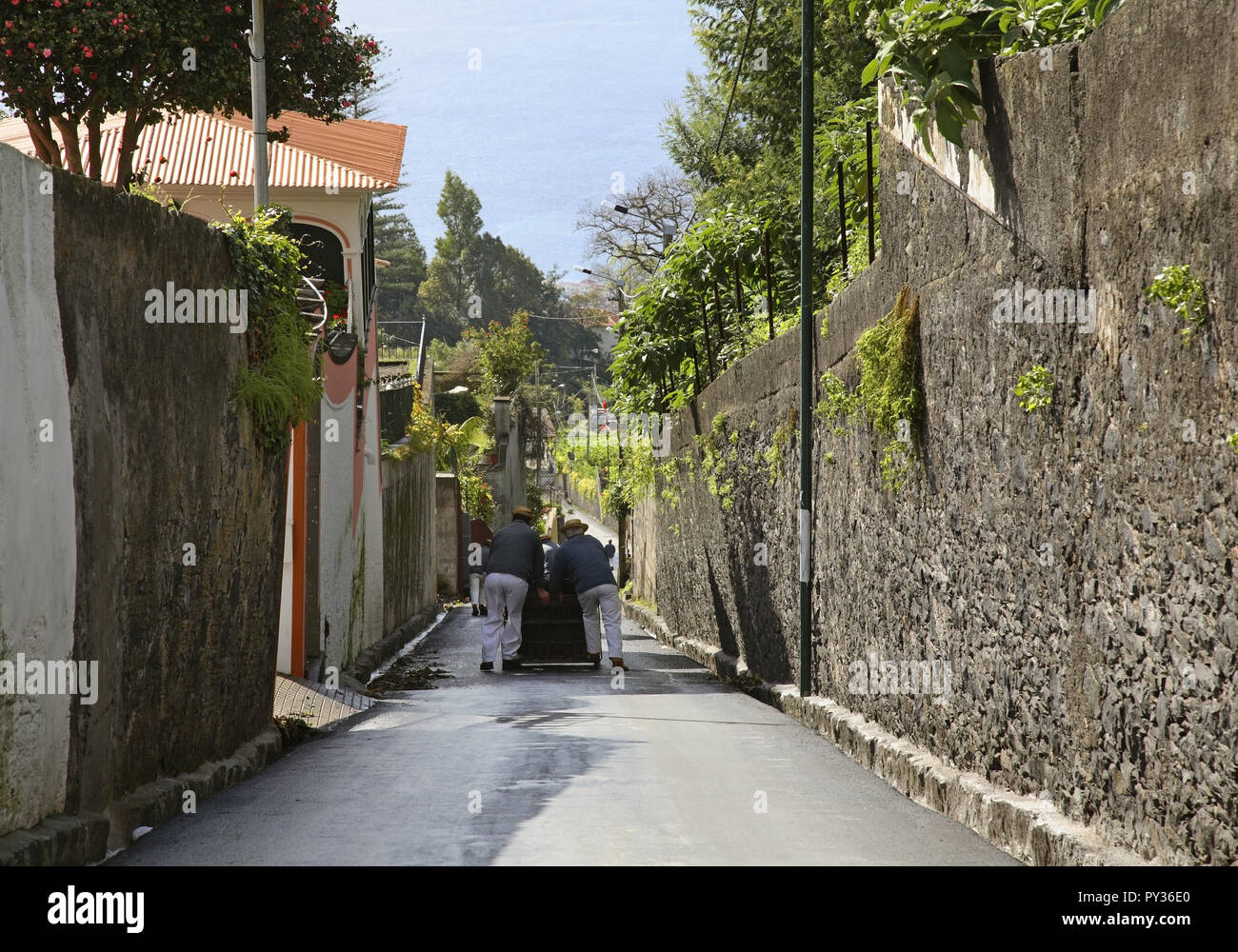 Toboggan run from mountain in Funchal. Madeira island. Portugal Stock Photo Alamy