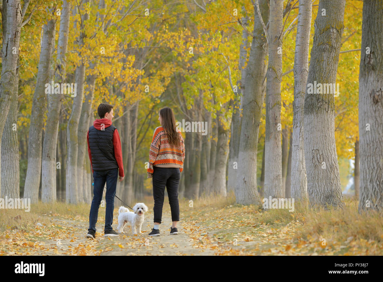 Young boy and girl with maltese dog in autumn forest Stock Photo