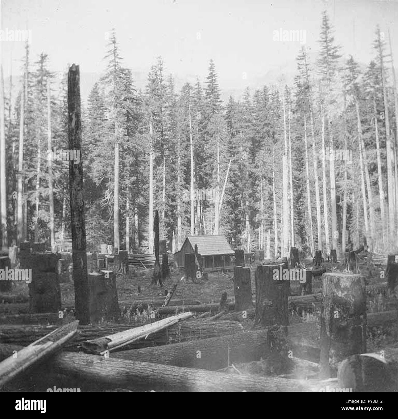 Cabin In A Clearing Showing Mountain Range In Distance