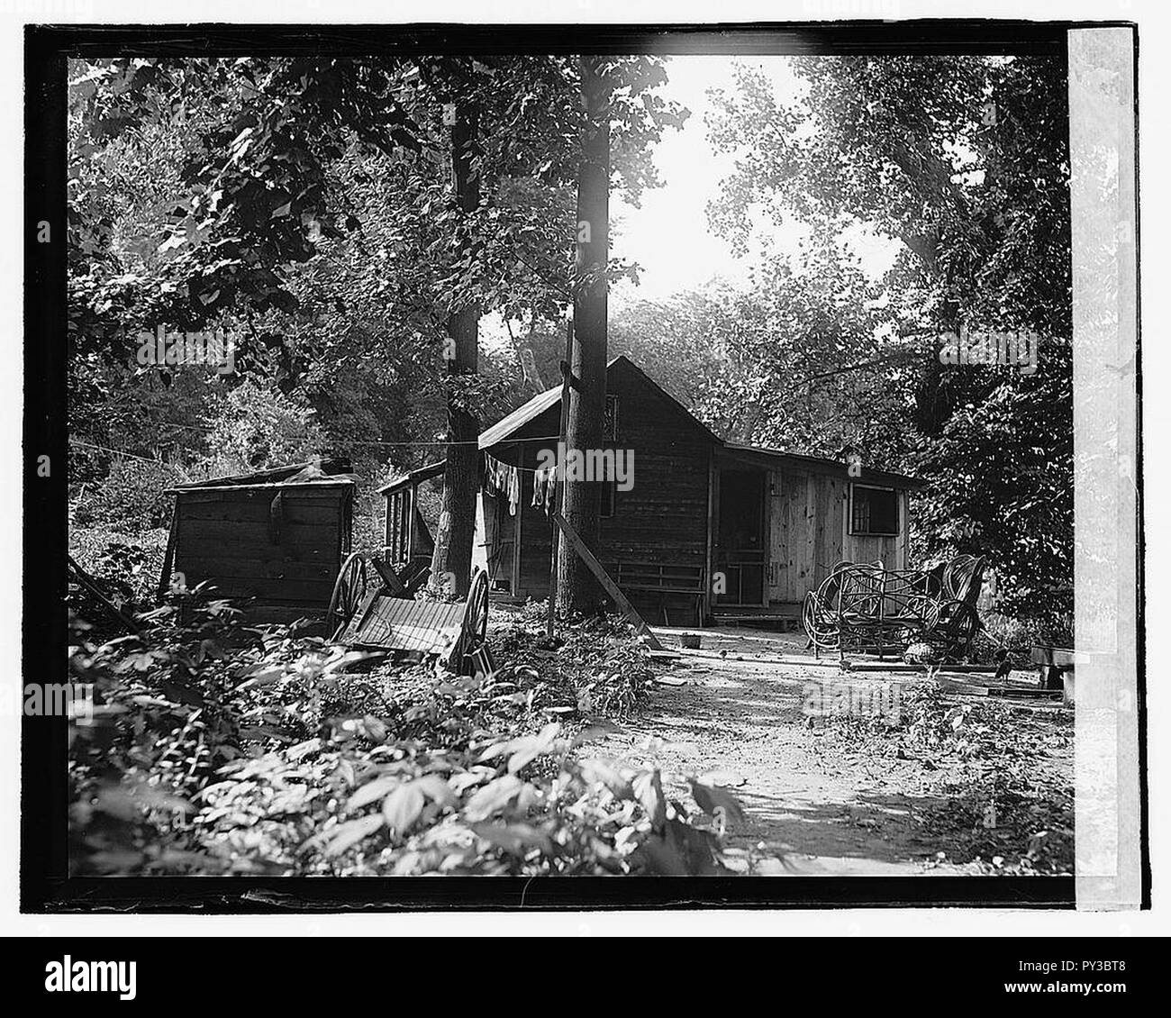 Cabin woods Black and White Stock Photos & Images - Alamy
