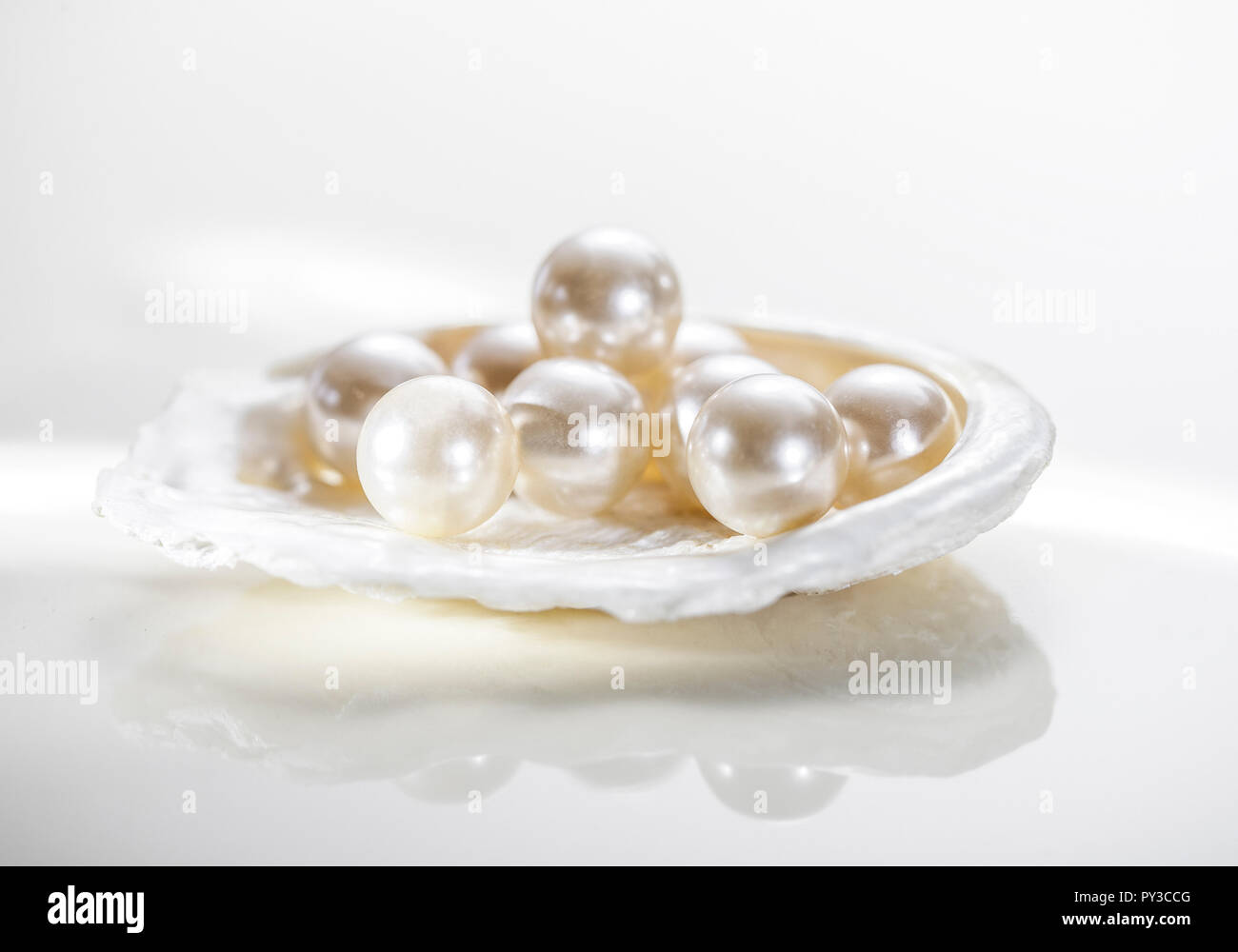 Muschel studio hires stock photography and images Alamy