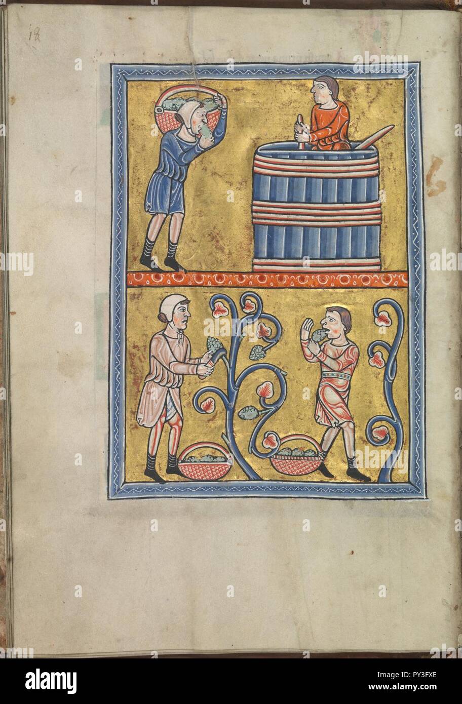 Calendar, September, men picking and treading grapes - Psalter of Eleanor of Aquitaine (ca. 1185) - KB 76 F 13, folium 009v. Stock Photo