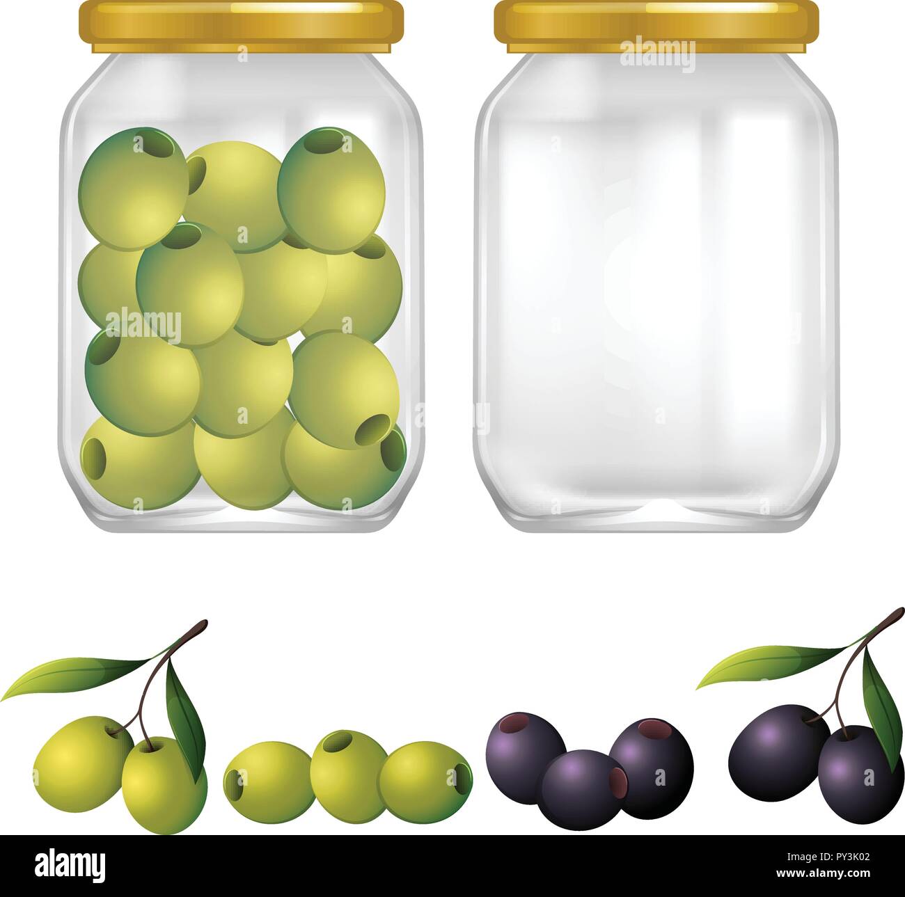 Green and Black Olives in Jar illustration Stock Vector Image & Art Alamy