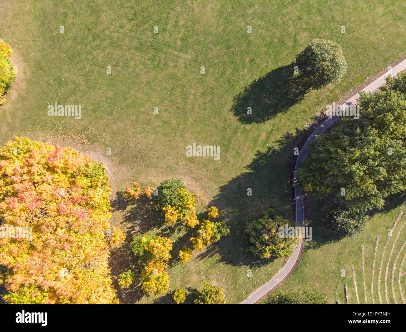 aerial top view of autumnal park with colorful trees, walkway and green ...