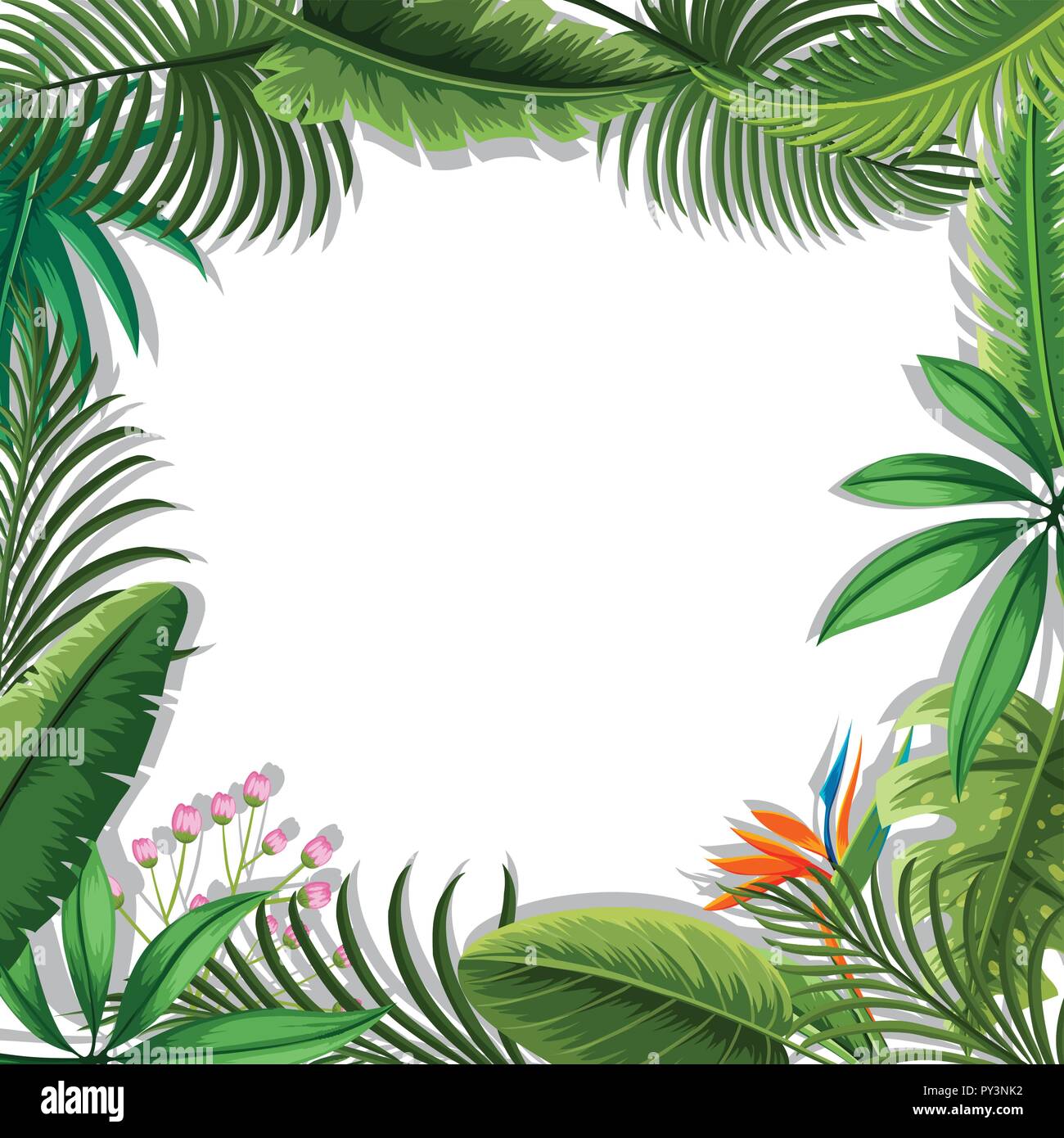 A tropical leaves frame illustration Stock Vector Image & Art - Alamy
