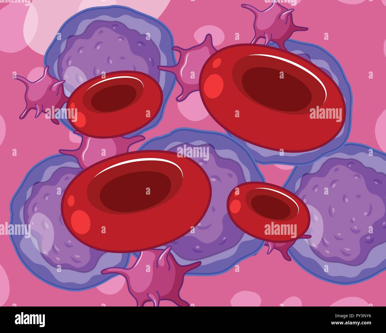 Red white blood cells and platelets illustration Stock Vector