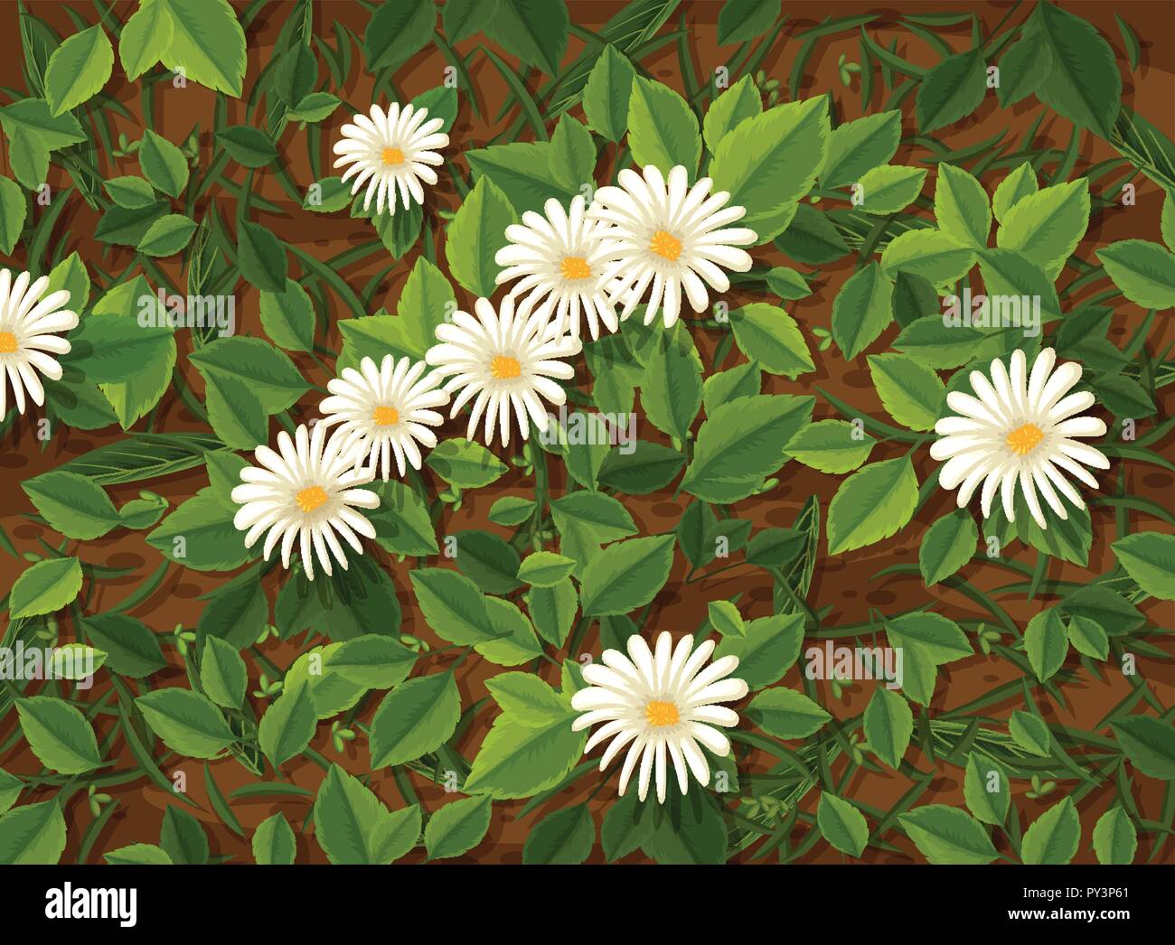 Beautiful Camomile Flower and leaves illustration Stock Vector Image ...