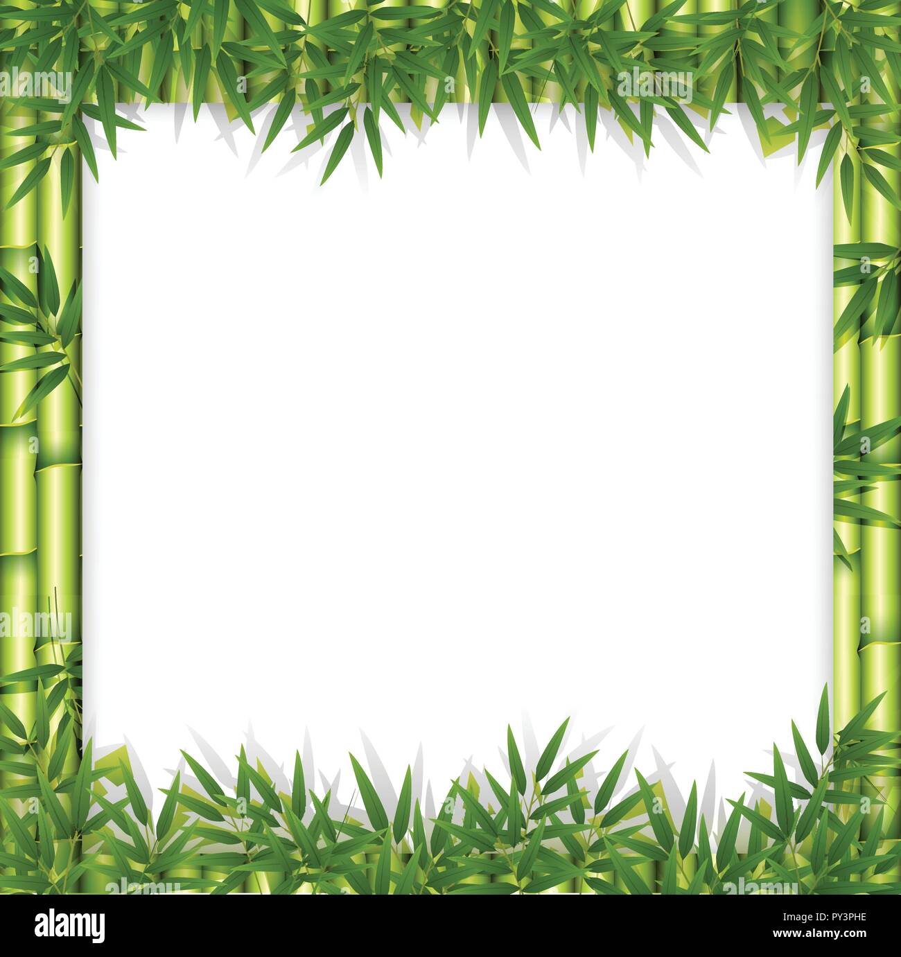 Bamboo theme frame concept illustration Stock Vector Image & Art - Alamy