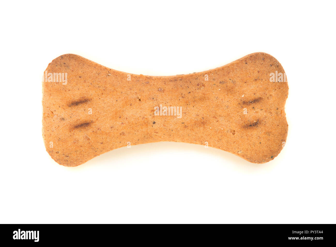 Single brown bone shaped dog treat isolated on a white background Stock