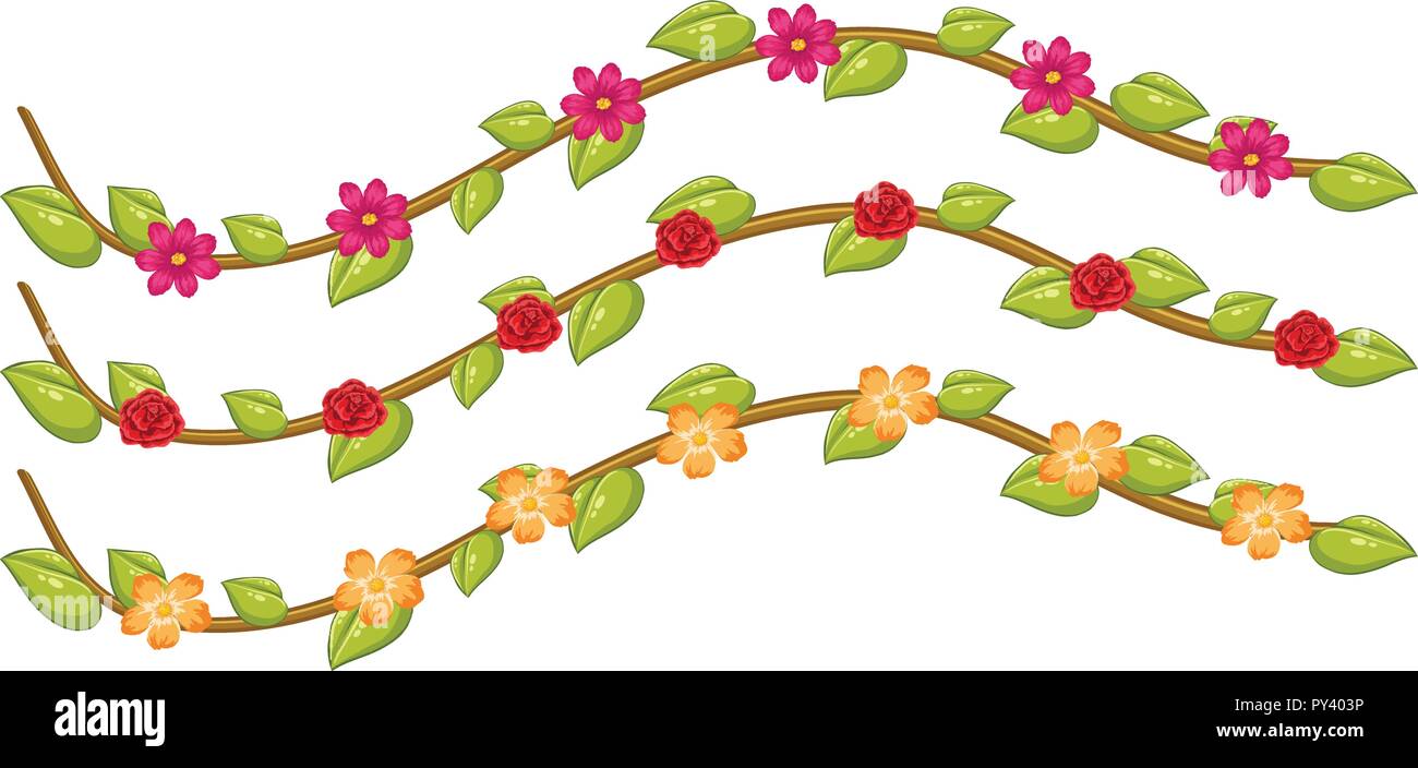Set of flower vines illustration Stock Vector Image & Art Alamy